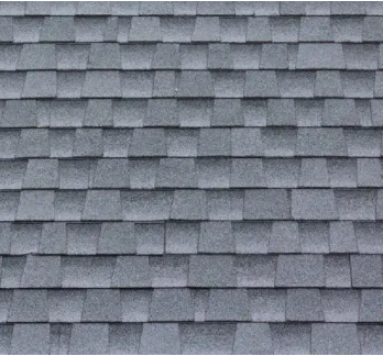 Black streak algae staining on asphalt shingle roof South Florida