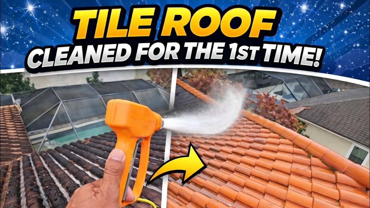 Residential roof softwash cleaning special