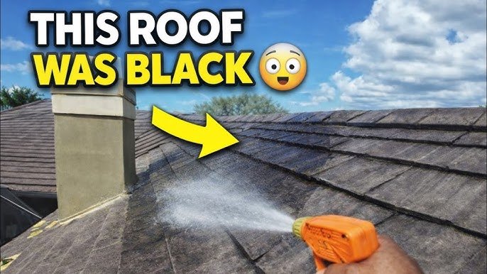Roof and exterior bundle softwash special