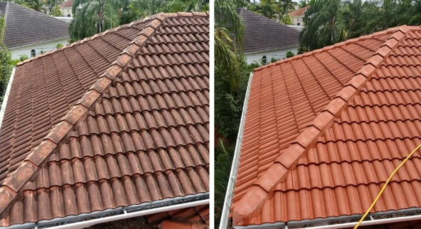 Softwash before and after roof cleaning South Florida